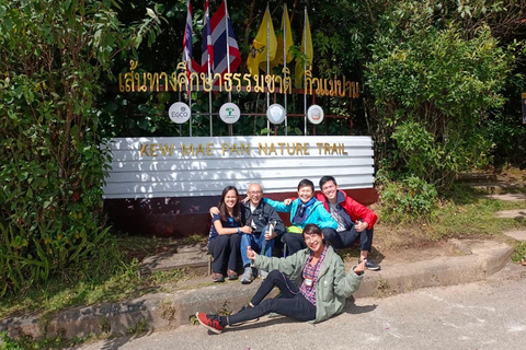 Chiang Mai: Excursión de un día al Parque Doi Inthanon con caminata por Kew Mae PanLa Visita Regular incluye Comida y Entradas