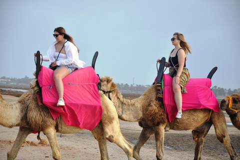 Djerba: Camel Ride to the Blue Lagoon at Sunset