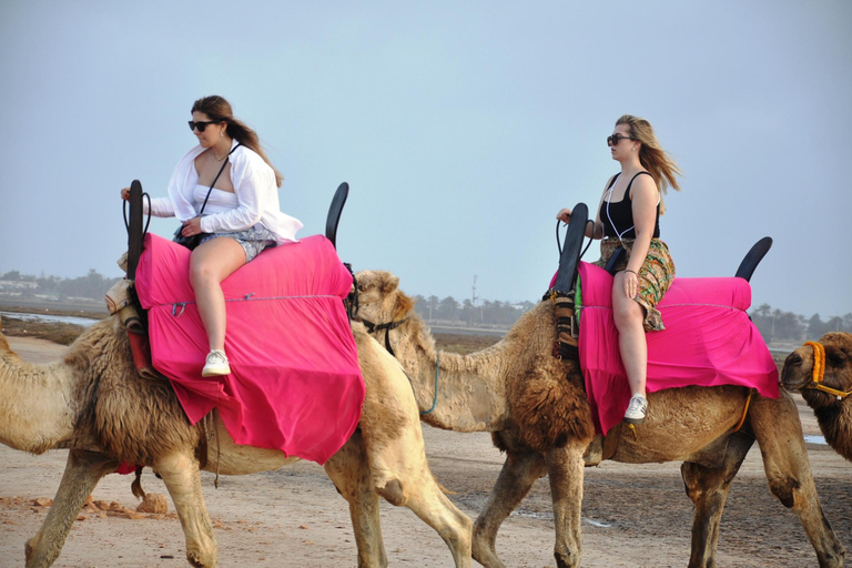 Djerba: Camel Ride to the Blue Lagoon at Sunset