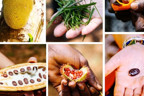 Zanzibar: wycieczka quadami z jaskinią Swahili i farmą przyprawZanzibar: Wycieczka quadami z jaskinią suahili i farmą przypraw