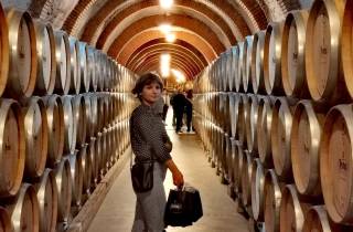 Ribera del Duero 2 Weinkellereien Tour mit Winzerführer