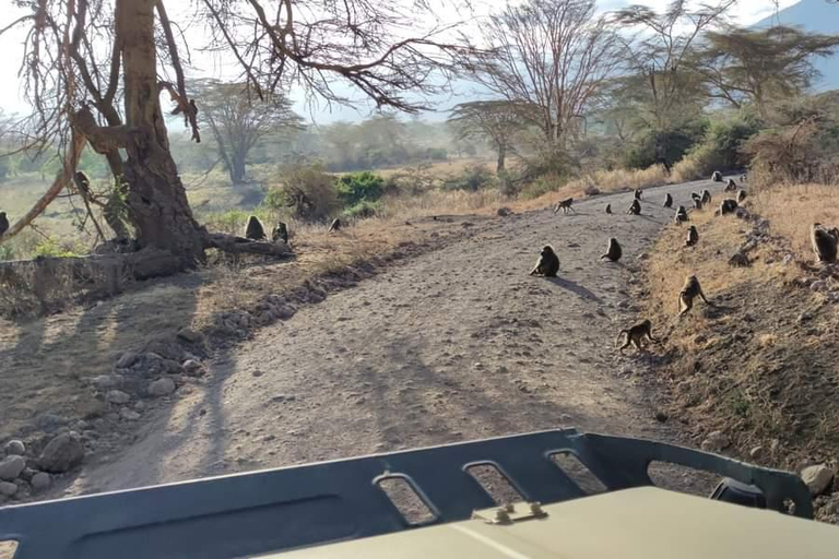 Safari 4 jours Tarangire, Serengeti &amp; Cratère du Ngorongoro Moyennement cher