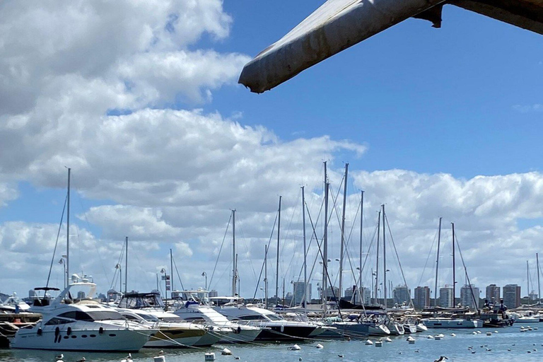 El mejor tour privado &quot;A tu manera&quot; en Punta del Este.