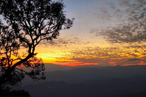 Chiang Mai Sunset Point,Wat Pha Lat,Wat Doi Suthep,Wat Umong