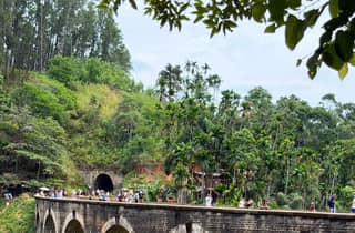 Sri Lanka: 10-tägige private Tour mit Fahrer und Fahrzeug