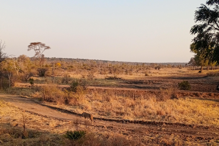 From Kasane: Chobe National Park Jeep Safari & River Cruise
