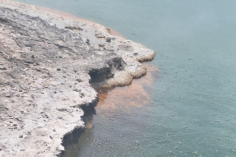 Tauranga: Wai-o-Tapu with Redwood Forest Walk or Forest Spa