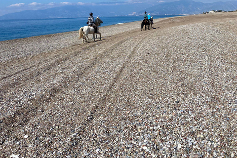 Horseback riding through dunes and pine forests to the beach in Side Horseback riding through dunes and pine forests to Side Beach