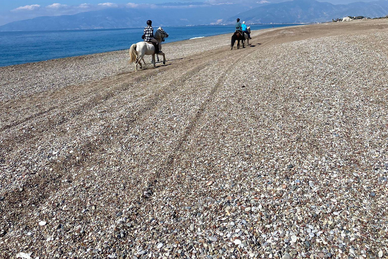 Horseback riding through dunes and pine forests to the beach in Side Horseback riding through dunes and pine forests to Side Beach