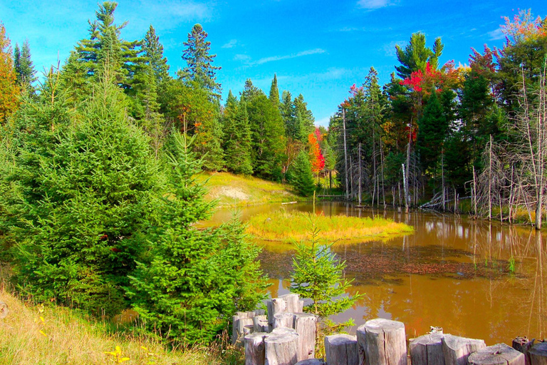 Skip-the-line Montreal Biodome Private Tour with Tickets 2-hour: Montreal Biodome Tour