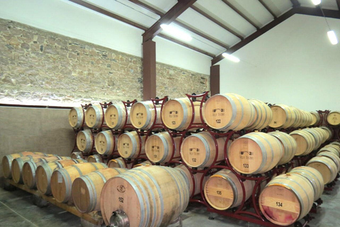 From Plovdiv: Wine Escape to the Rhodope Foothills