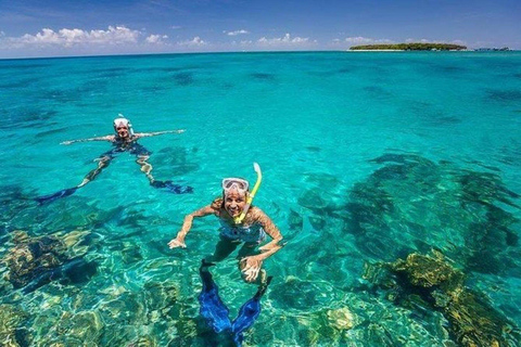 Zanzibar : Aventure en parachute ascensionnel et plongée en apnée avec déjeunerParachute ascensionnel et plongée en apnée