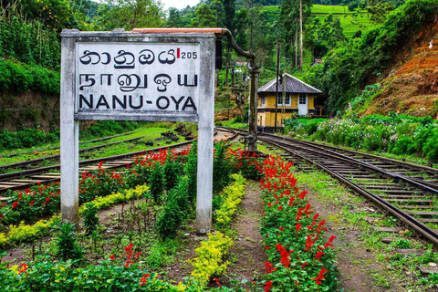 From Kandy: Tuk Tuk Day Tour to Nuwaraeliya by Tuk Tuk