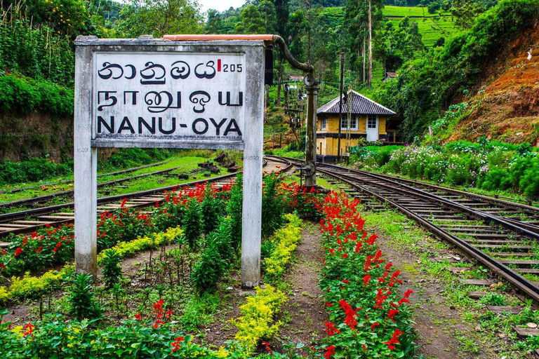 From Kandy: Tuk Tuk Day Tour to Nuwaraeliya by Tuk Tuk