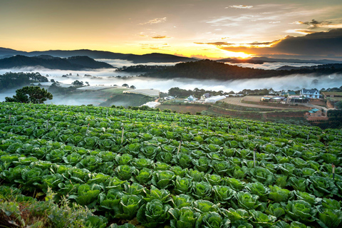 Découvrez le meilleur de la campagne de Dalat (voiture privée)