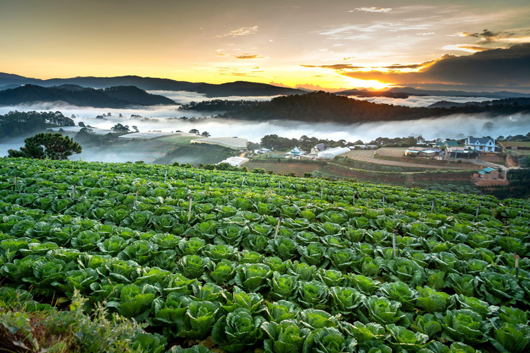 Découvrez le meilleur de la campagne de Dalat (voiture privée)