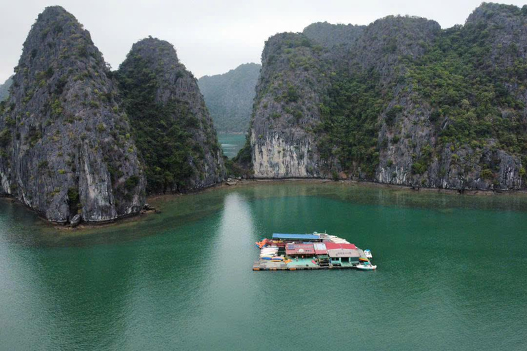 CAT BA :2D1N Lan Ha-bukten-Ha Long-bukten med planktonutflykt