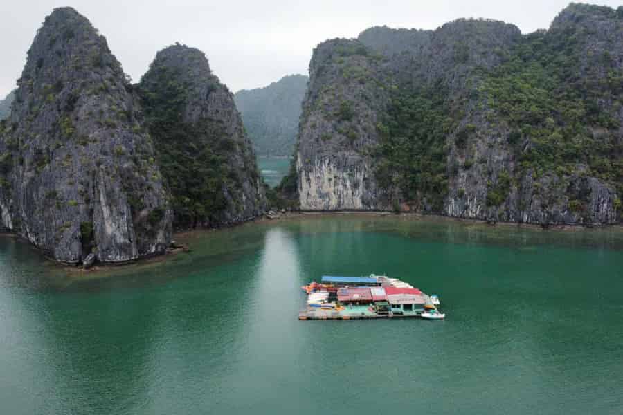 CAT BA :2D1N Lan Ha-Bucht-Ha Long-Bucht mit Plankton-Exkursion. Foto: GetYourGuide