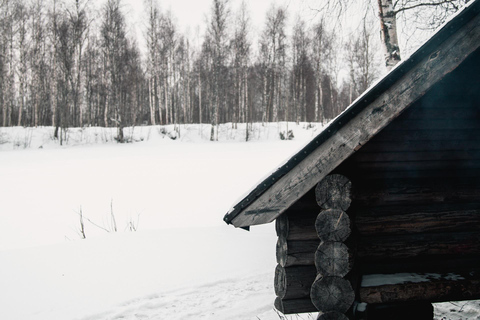 Rovaniemi: Snowshoeing in the Arctic Wilderness