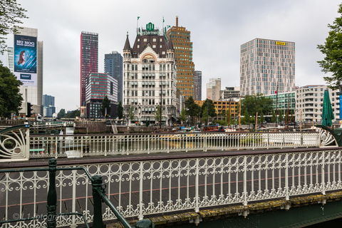 Rotterdam: Wycieczka piesza po centrum miasta