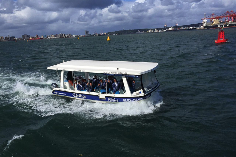 Durban: crociera di 30 minuti in barca al portoDurban: crociera in battello del porto di 30 minuti