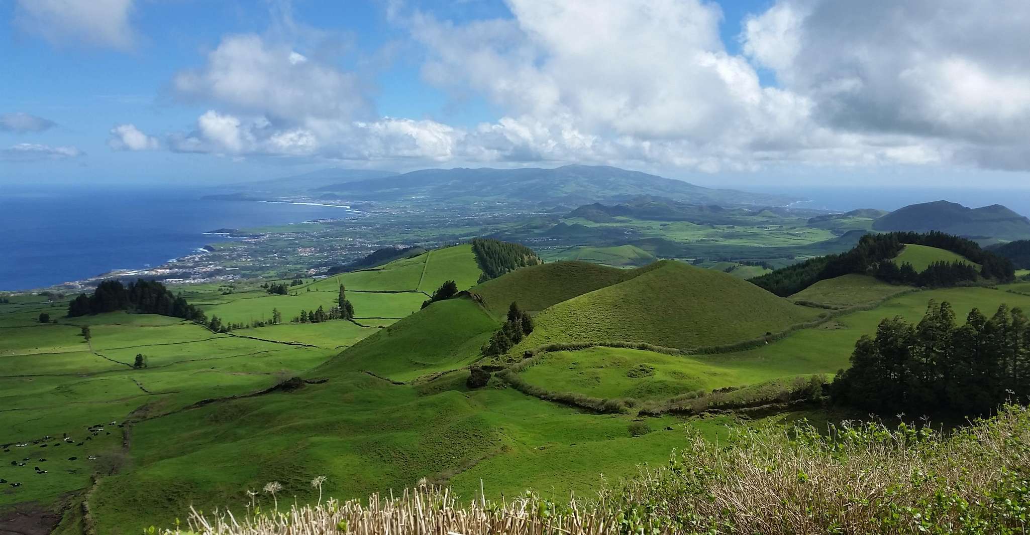 ALL CRUISES - Shore Tour Sete Cidades Green & Blue Lakes - Housity