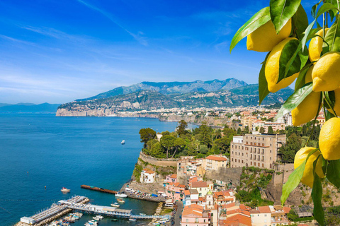 Au départ de Naples : Sorrente et Positano visite privée d&#039;une journée