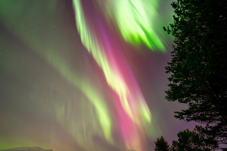 Tromsø: Northern Lights Tour with Hot Drinks and Snacks