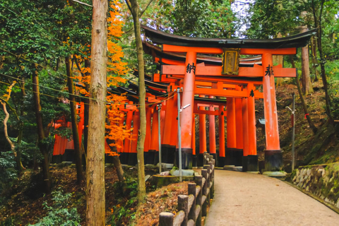 Nara: Private Car Tour with Pickup from Osaka or Kyoto