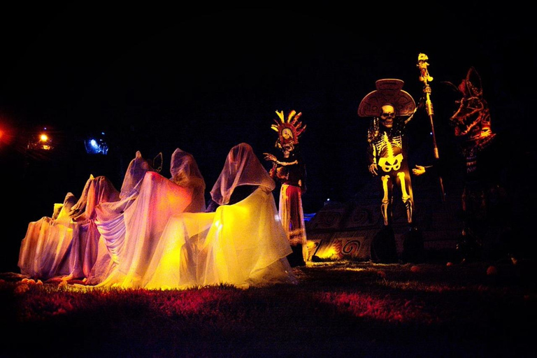 La Llorona Xochimilco : Spectacle, légendes et visite des trajinerasPetit groupe