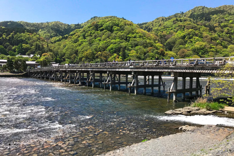 Tokyo: 8-Day Tour with Fuji, Kyoto, Nara, Hiroshima & Osaka Day 8 - Osaka Highlights (Spanish)