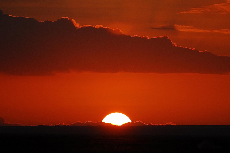 Arusha: Full-Day Culture, Coffee, Nature & Nightlife Tour