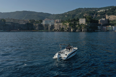 From Sorrento: Private Capri Tour Next 22 Up to 5 people