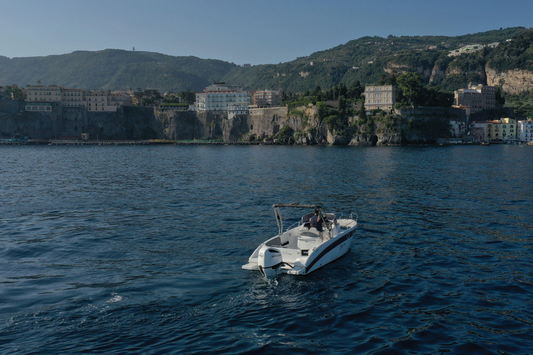 From Sorrento: Private Capri Tour Next 22 Up to 5 people