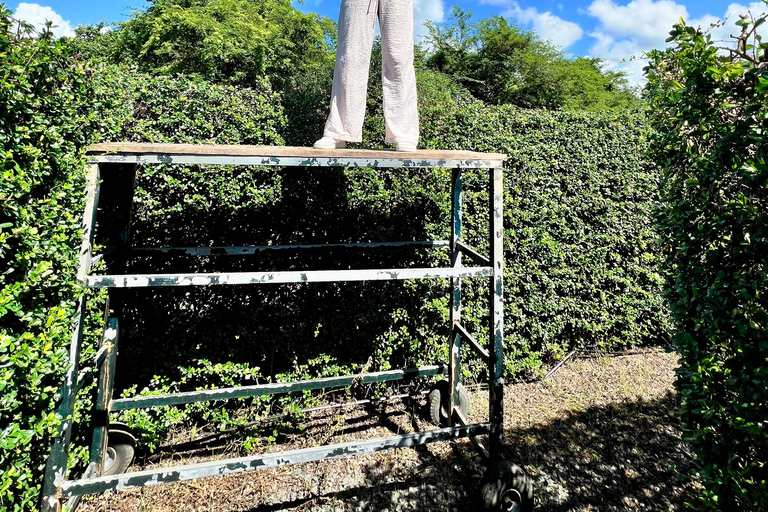 La Romana Half-Day Small Group Tour: Cave, Maze & Culture