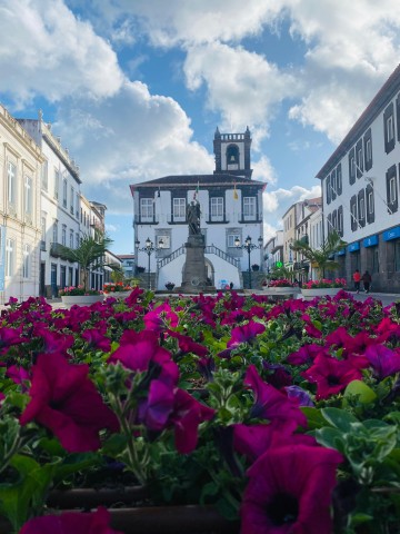 Visit PONTA DELGADA TASTING TOUR in Pico, Azores, Portugal