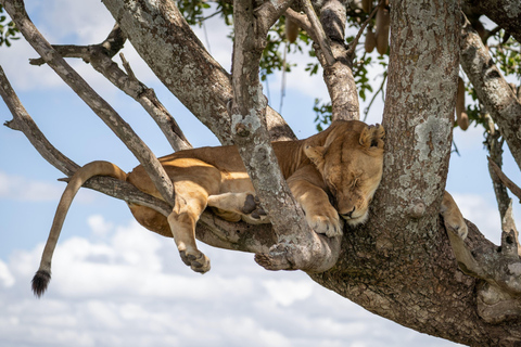 4-Day Group Joining Safari, Tarangire, Manyara & Ngorongoro