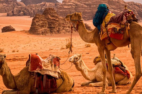 Wadi Rum: Full-Day Jeep Tour with Lunch