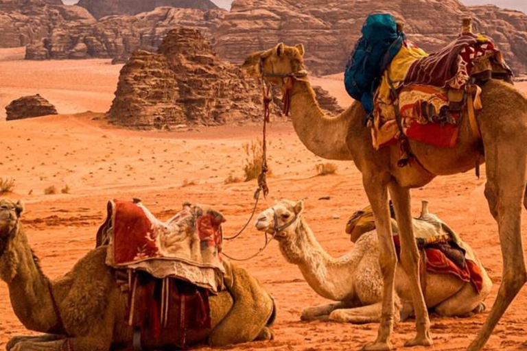 Wadi Rum: Full-Day Jeep Tour with Lunch