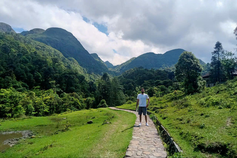 Chauffeured Ride to Silver and Love Waterfall, Lonely Tree