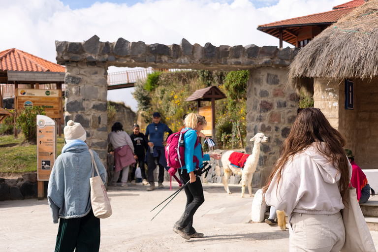 Quito-Cotopaxi-Quilotoa: Ganztägiges Abenteuer 3 Orte