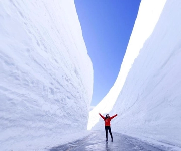 Da Osaka: tour alpino di 2 giorni a Tateyama Kurobe