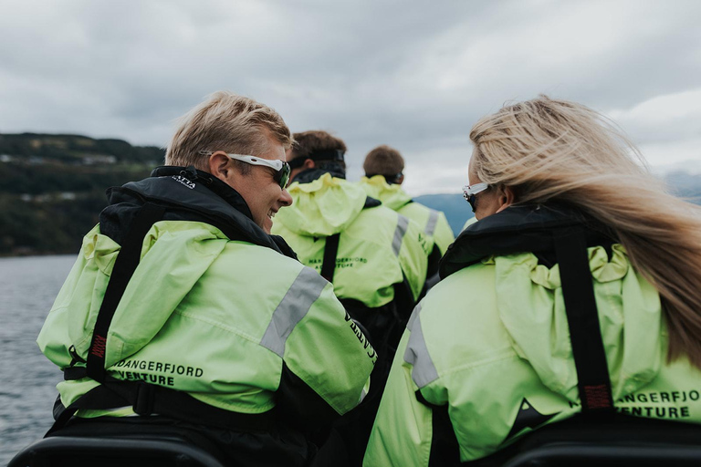 Øystese: Ekskluzywne safari po fiordzie Fyksesund prywatnym RIB-emØystese: Prywatne safari po fiordzie Fyksesund RIB