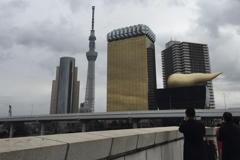 Tokio: Tour privado en coche con Mai