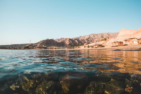 From Sharm: Discover Dahab With Snorkeling &amp; Optional Diving