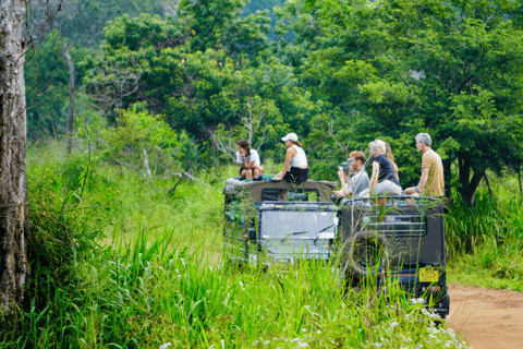 Tour delle rocce di Sigiriya e safari in jeep a Minneriya Sri Lanka