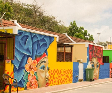 Willemstad: Guided Walking Tour with Local Guide