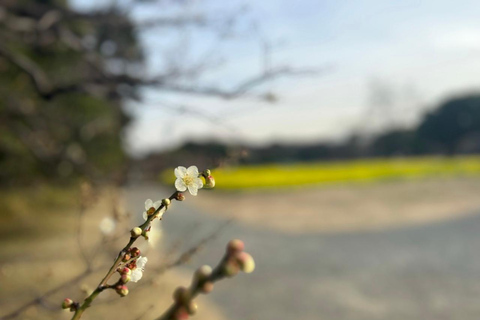 Tóquio : Excursão guiada a pé pelo jardim japonês em Hama RikyuExcursão a pé guiada nos Jardins de Hama Rikyu