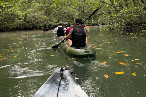 Langkawi: Avventura in kayak con le mangrovie del Carso di Kilim