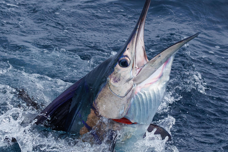 Santa Maria: Atlantic Ocean Trolling Fishing Trip